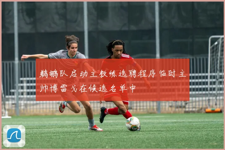 鹈鹕队启动主教练选聘程序临时主帅博雷戈在候选名单中