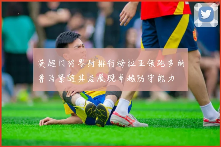 英超门将零封排行榜拉亚领跑多纳鲁马紧随其后展现卓越防守能力